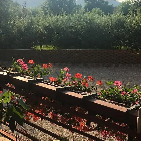 Casa Nicola Farmház Valea Uleiului